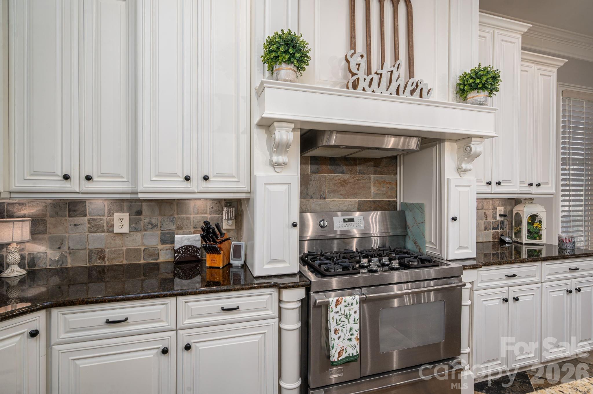 8000 Water View Drive Belmont NC 28012