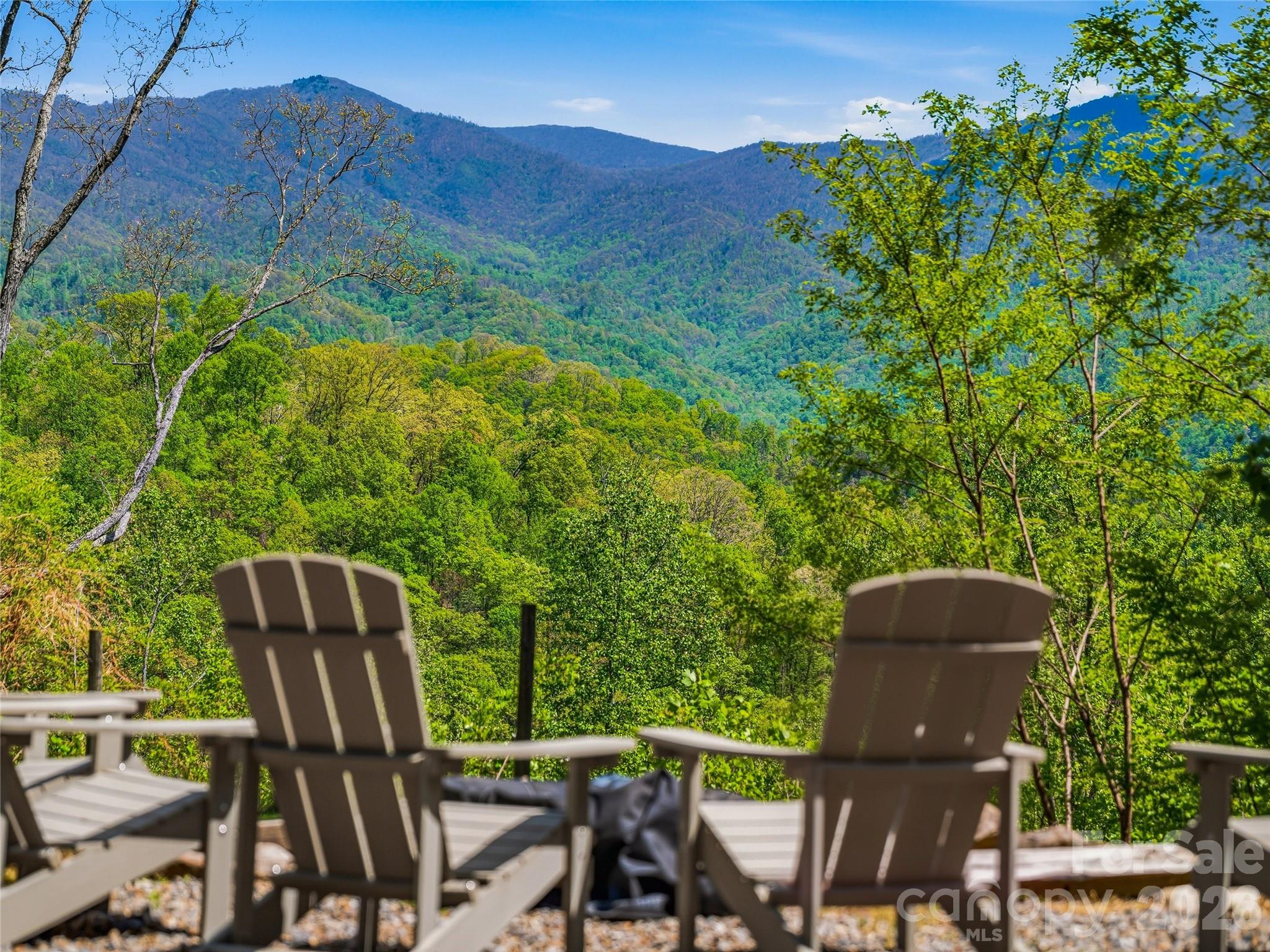 110 North Knob Lane Weaverville NC 28787