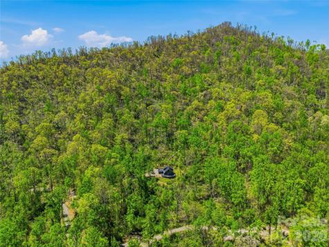 110 North Knob Lane Weaverville NC 28787
