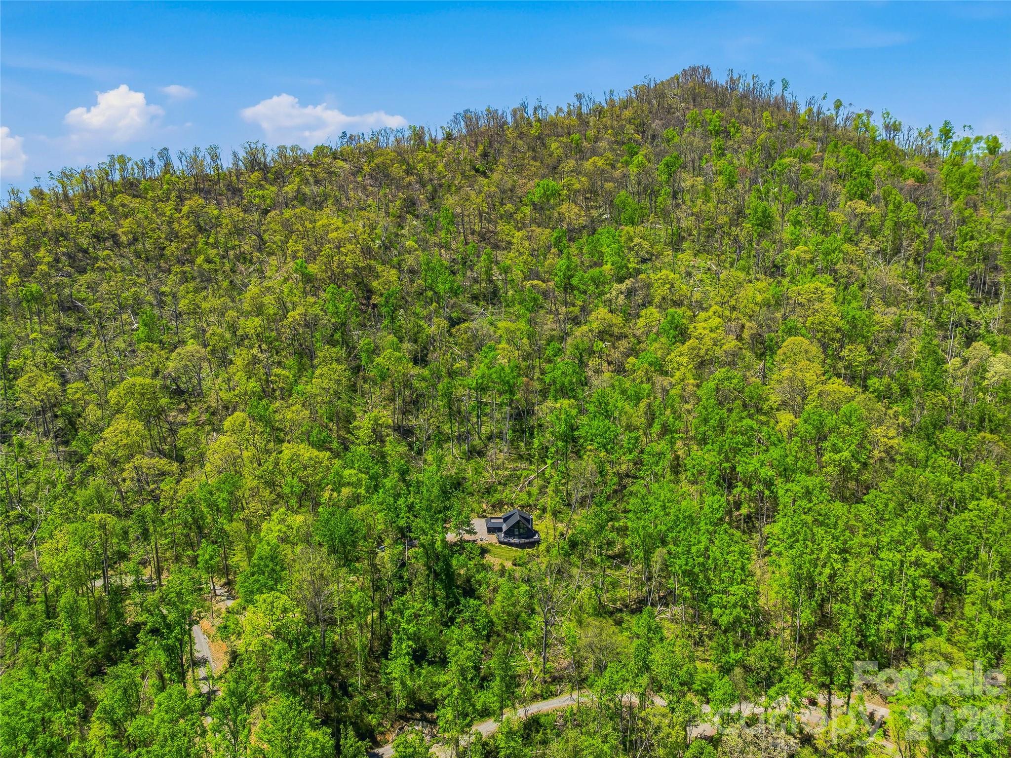 110 North Knob Lane Weaverville NC 28787