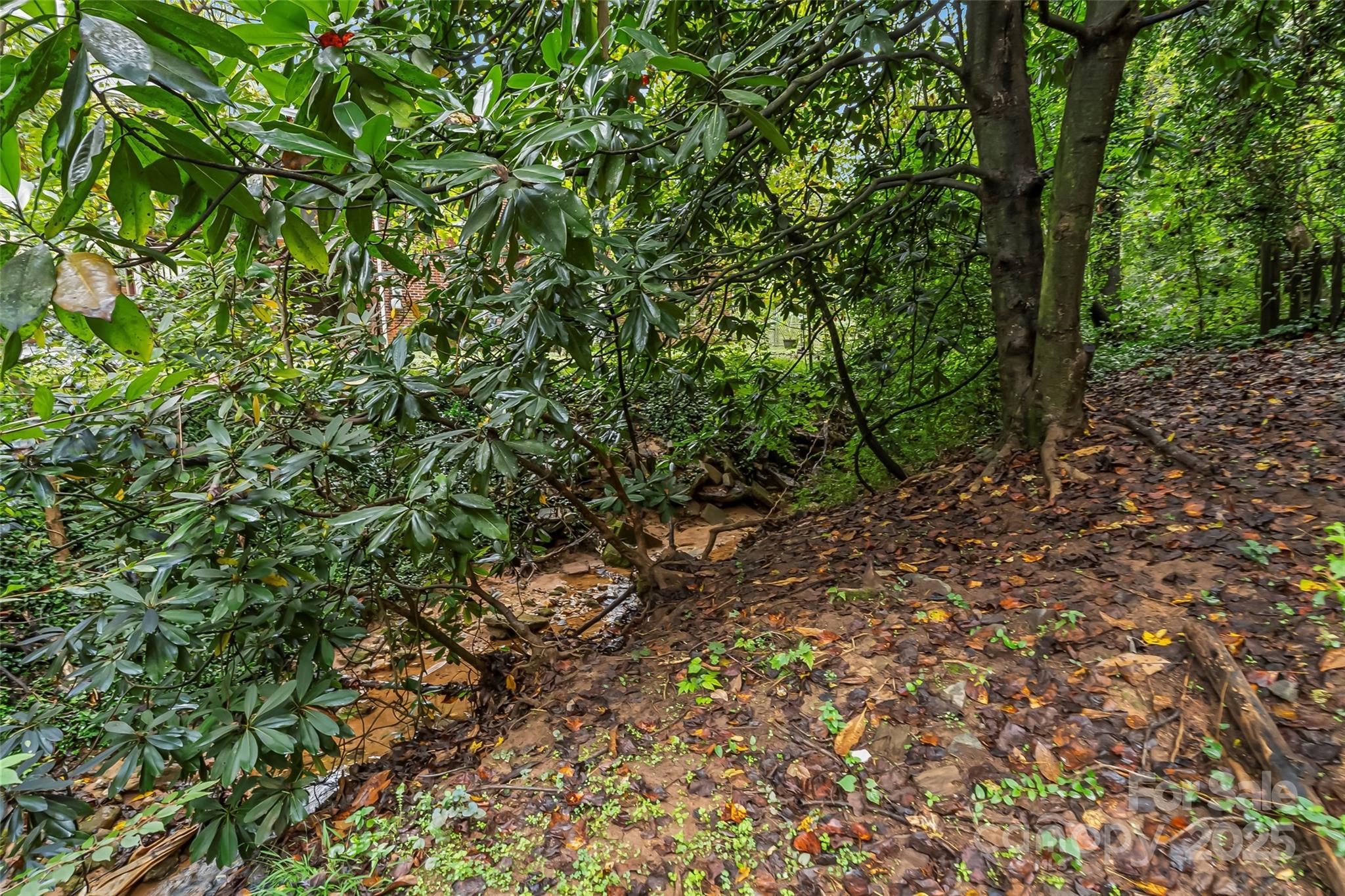 218 Davis Drive Morganton NC 28655