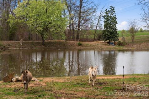 6777 Hockett Trail Randleman NC 27317