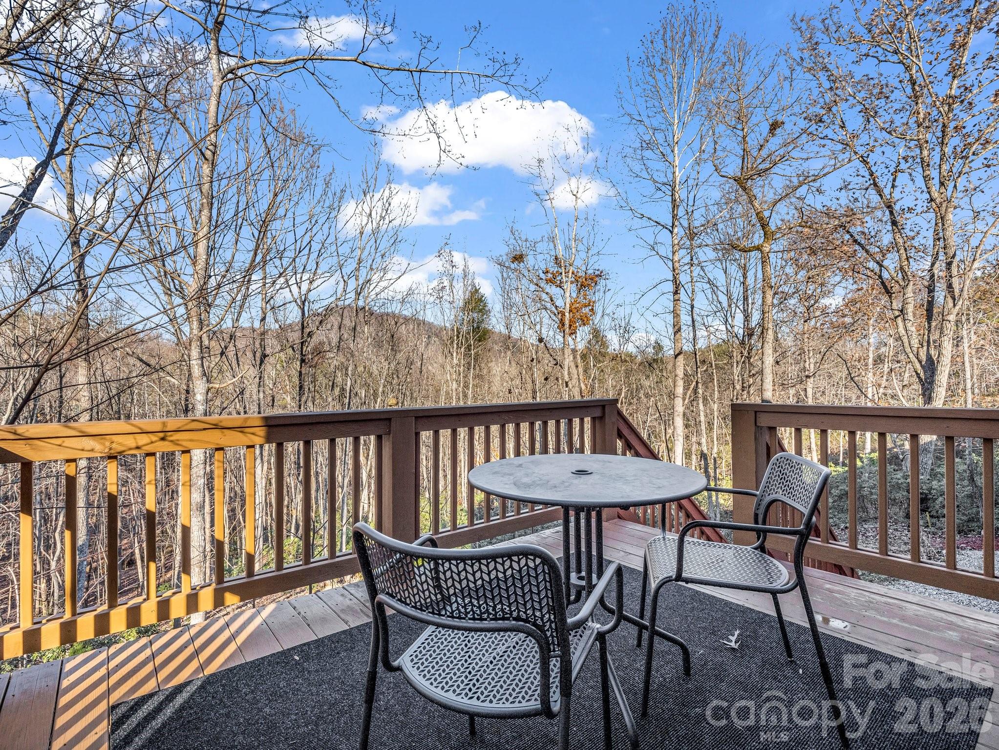 178 Flynn Court Lake Lure NC 28746