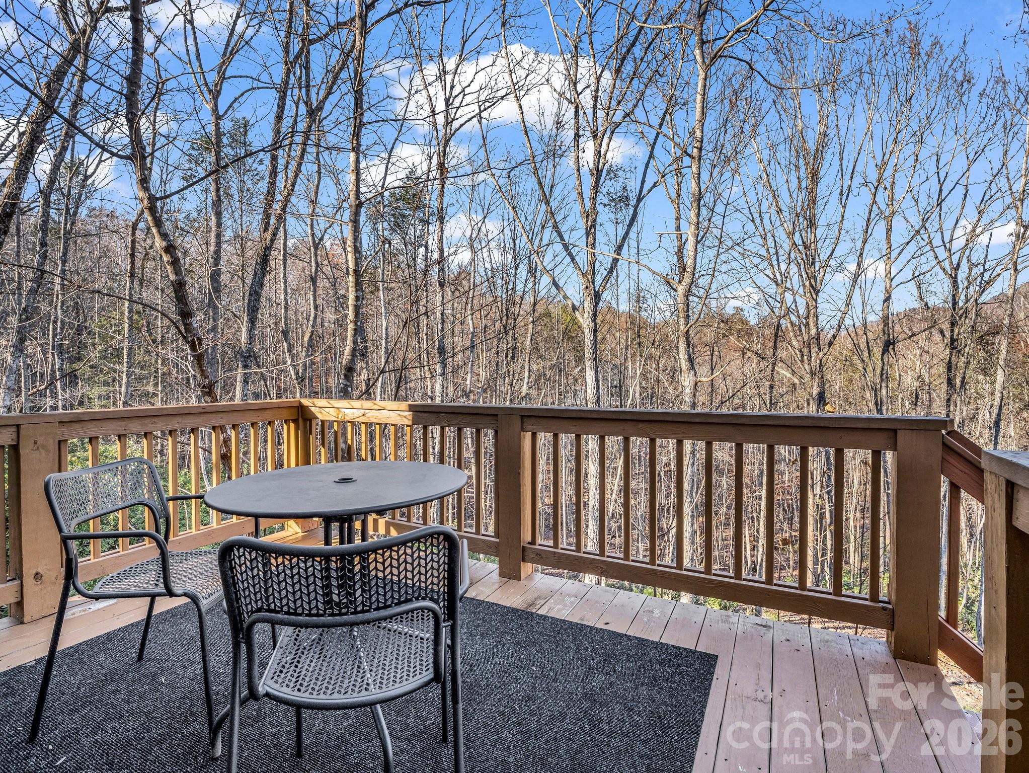 178 Flynn Court Lake Lure NC 28746