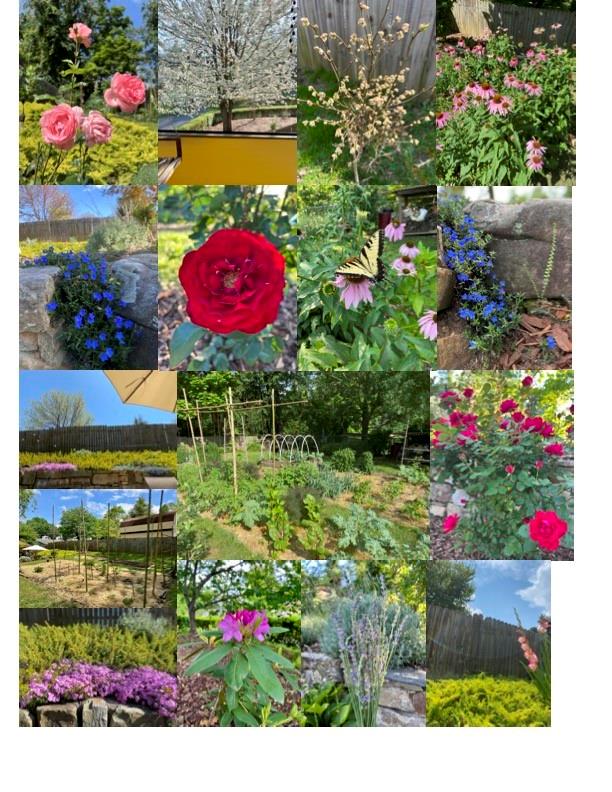 52 East Street Asheville NC 28803