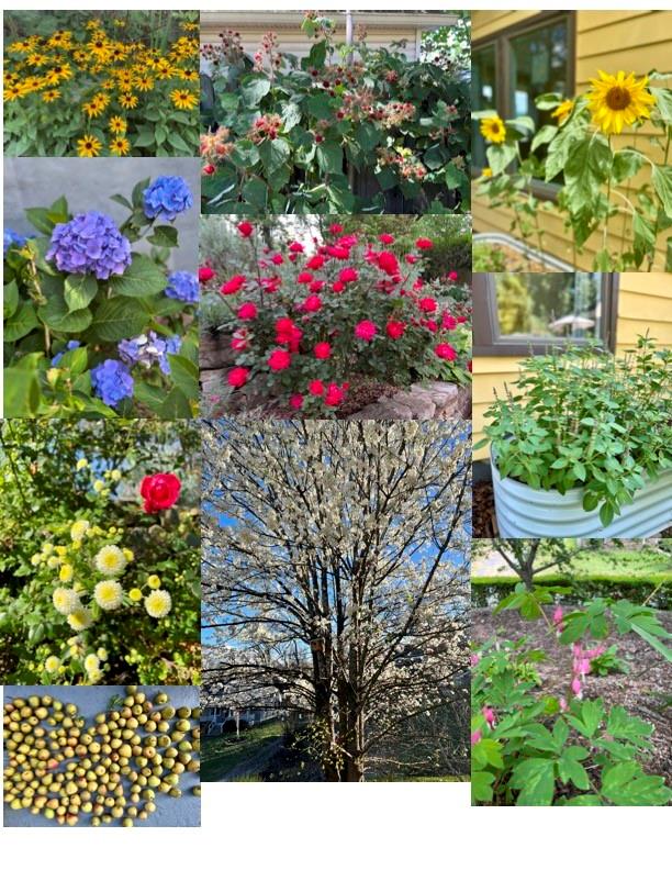 52 East Street Asheville NC 28803