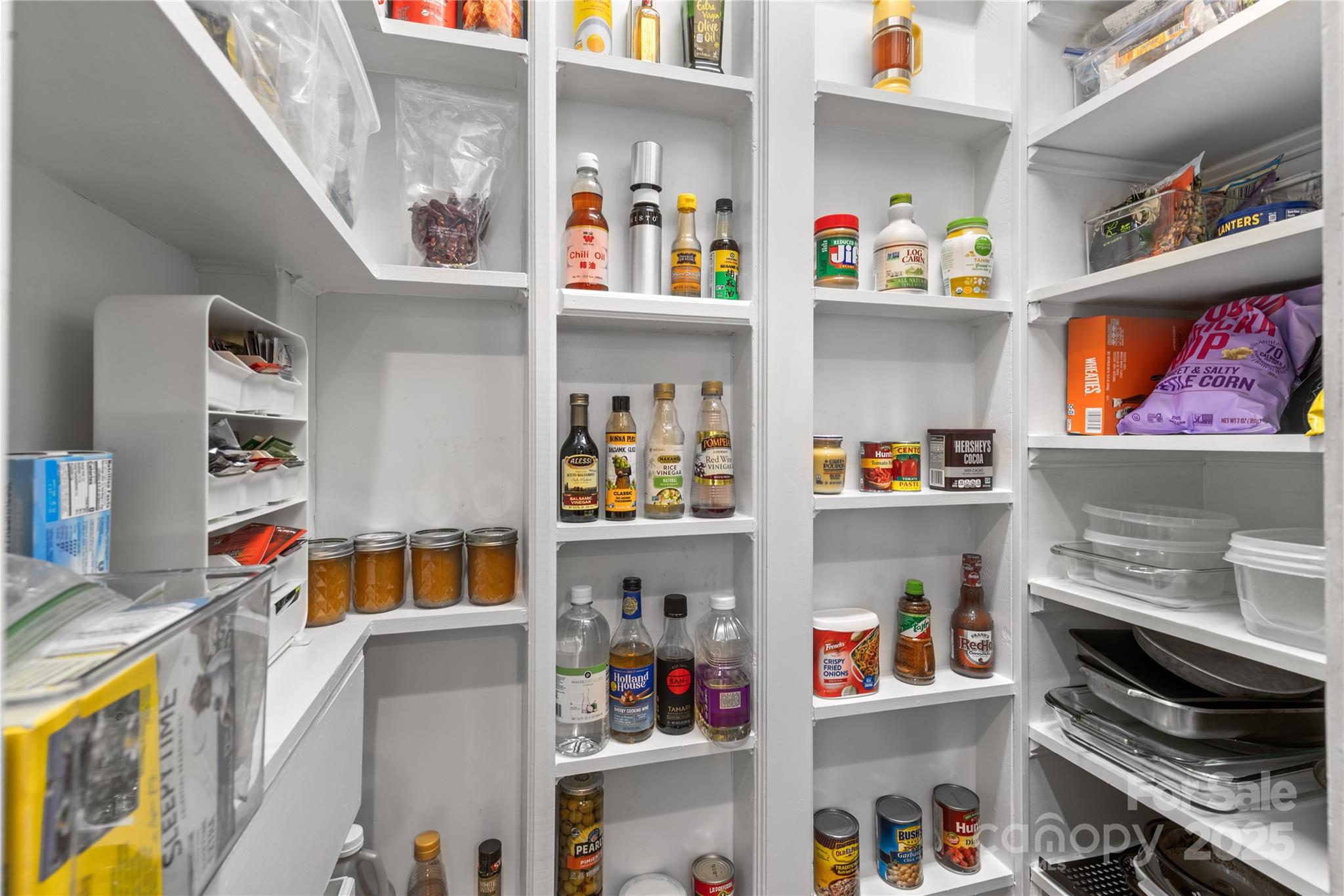 3013 Spring Fancy Lane Indian Trail NC 28079