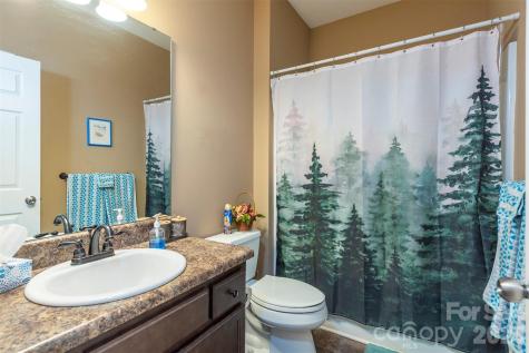 18 Hoye Lane Candler NC 28715
