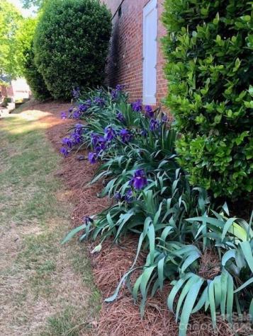 13824 Glen Abbey Drive Charlotte NC 28278