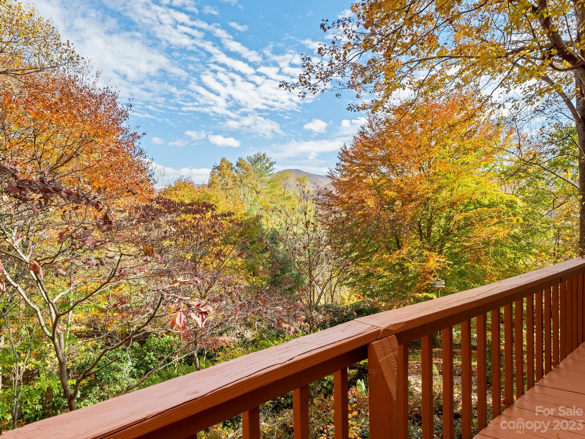 52 Camelfield Road Weaverville NC 28787