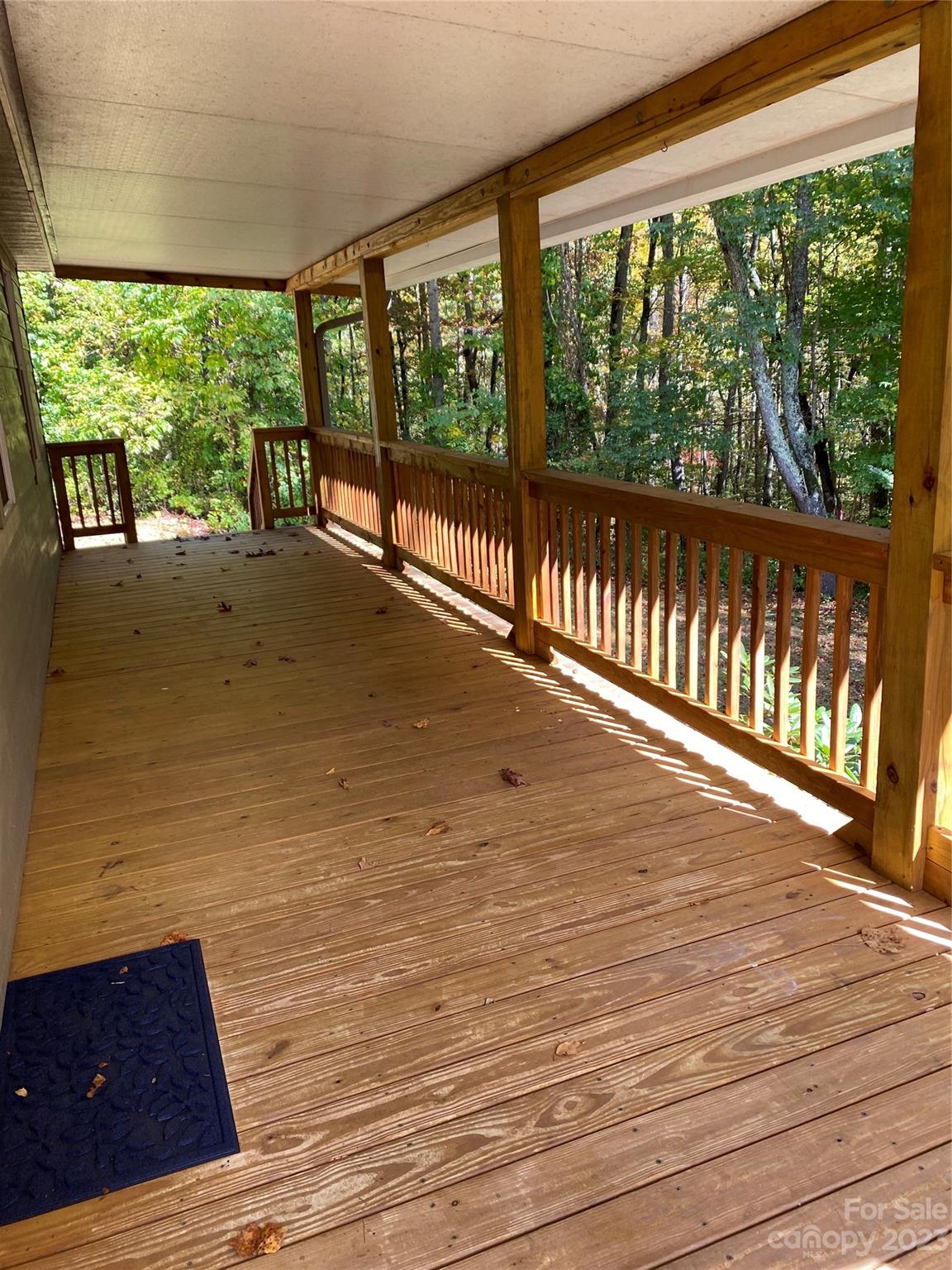 47 Big Bear Trail Asheville NC 28805
