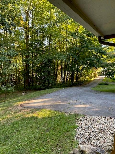 47 Big Bear Trail Asheville NC 28805