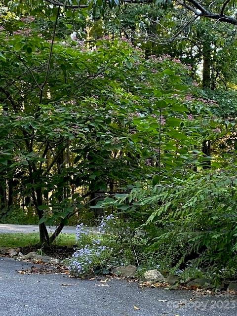 47 Big Bear Trail Asheville NC 28805
