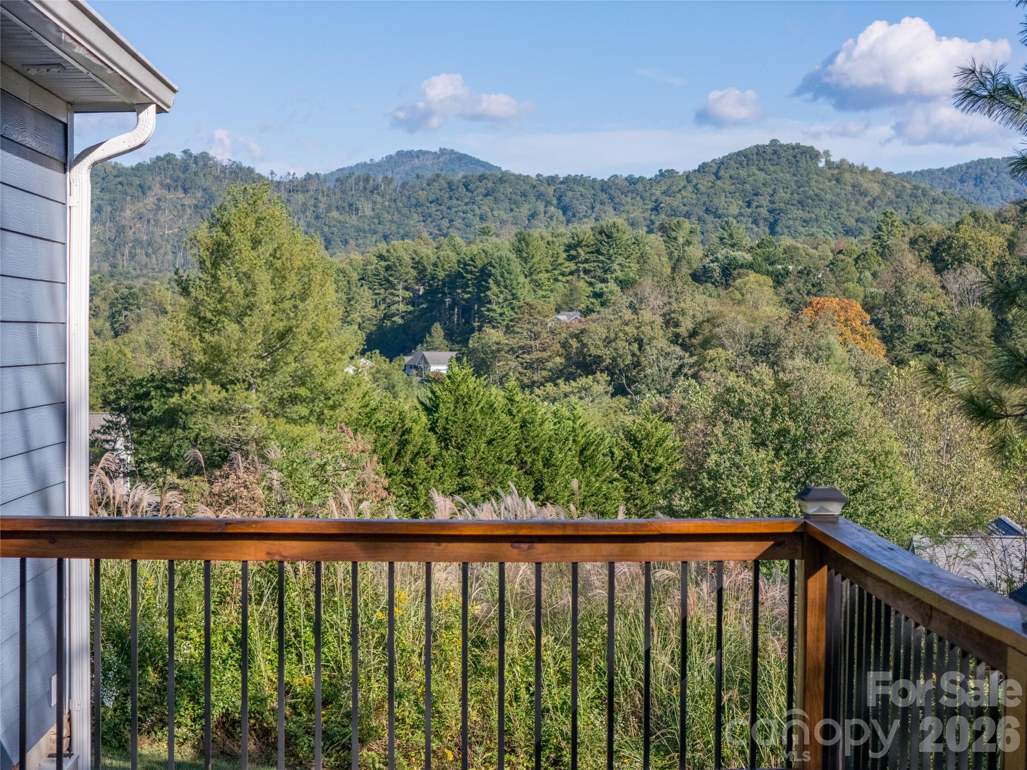 105 Bluebell Ridge Lane Weaverville NC 28787