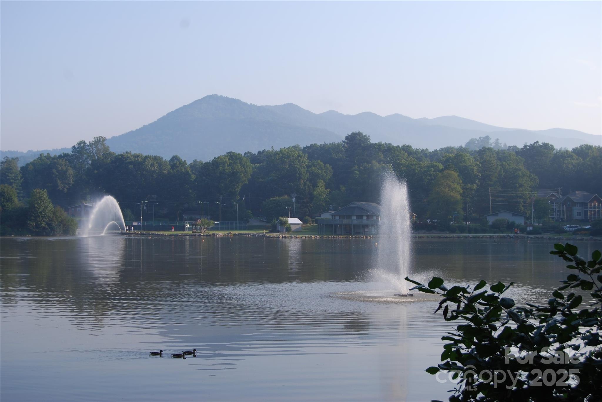 11 Silver Place Black Mountain NC 28711