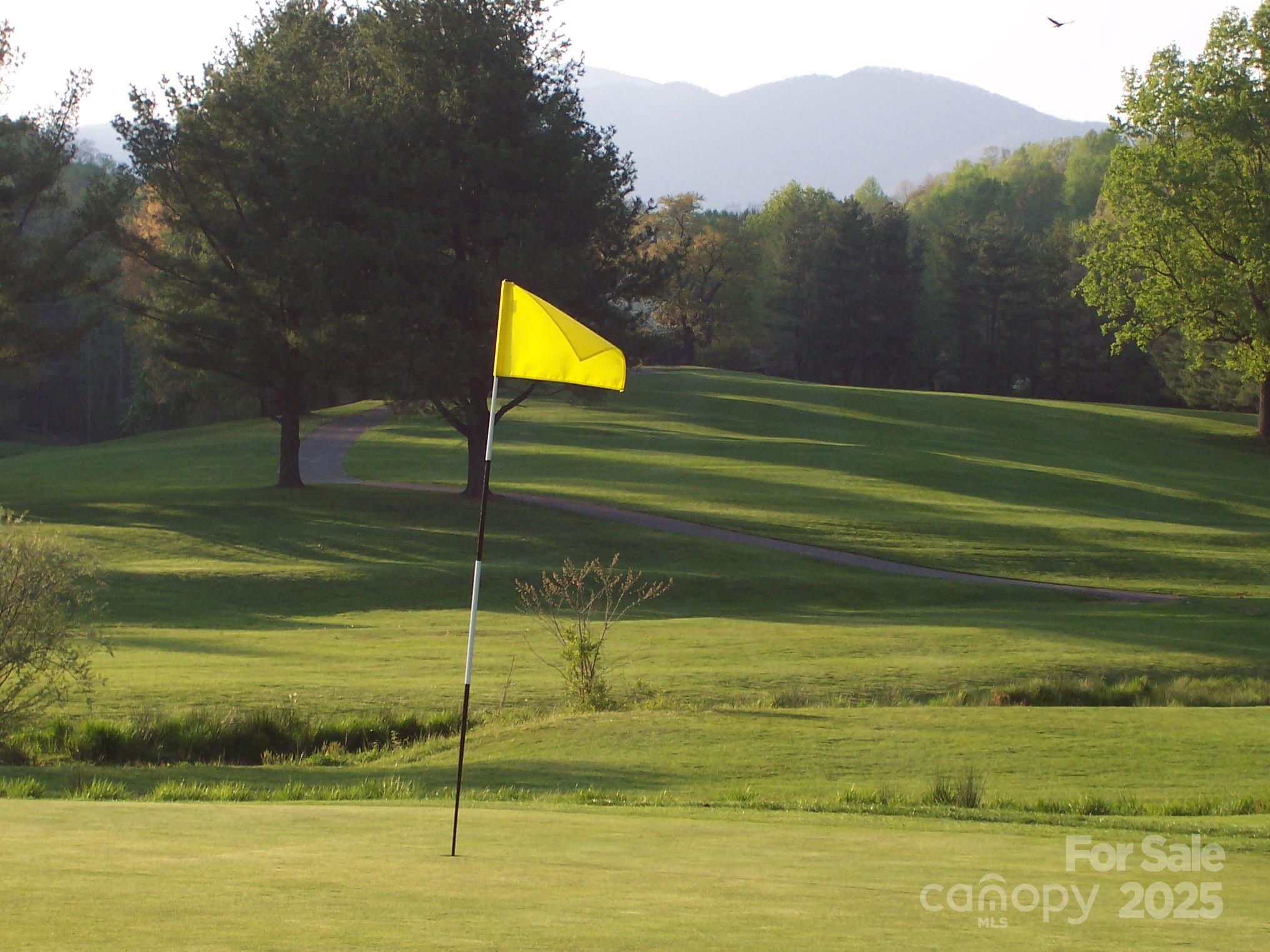 11 Silver Place Black Mountain NC 28711