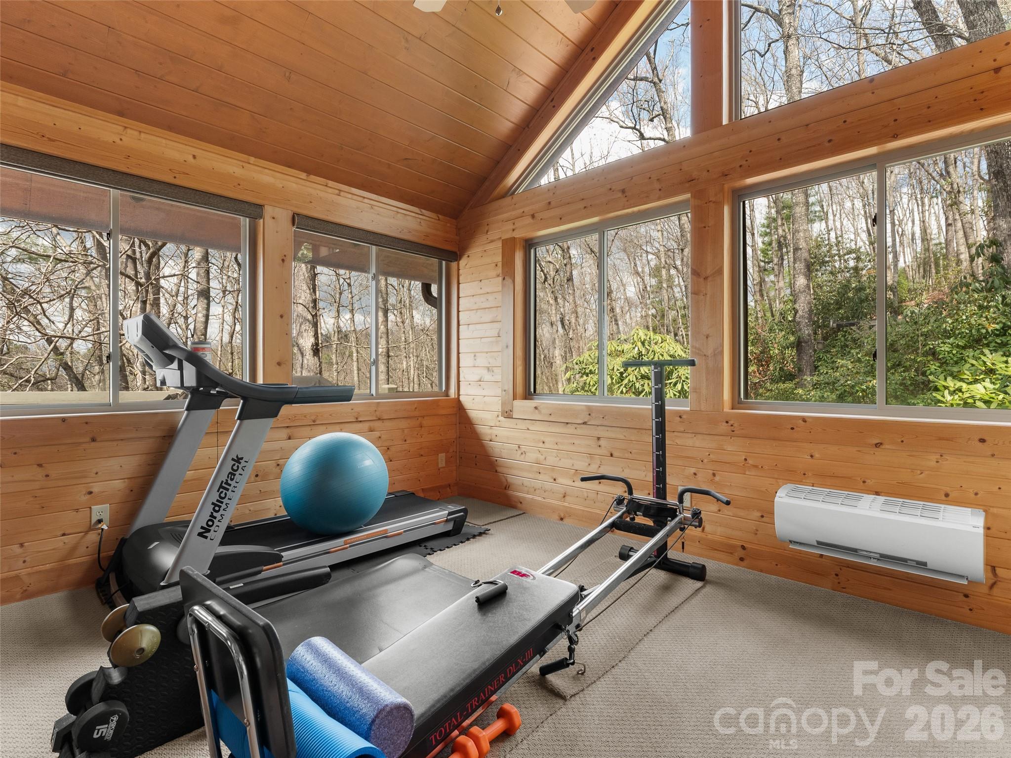 153 Brandy Ridge Brevard NC 28712