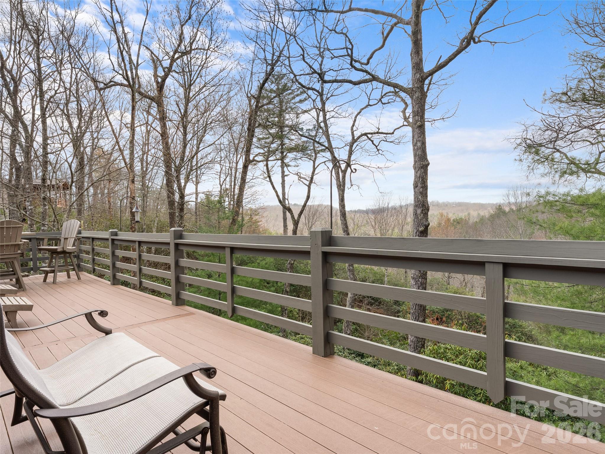 153 Brandy Ridge Brevard NC 28712