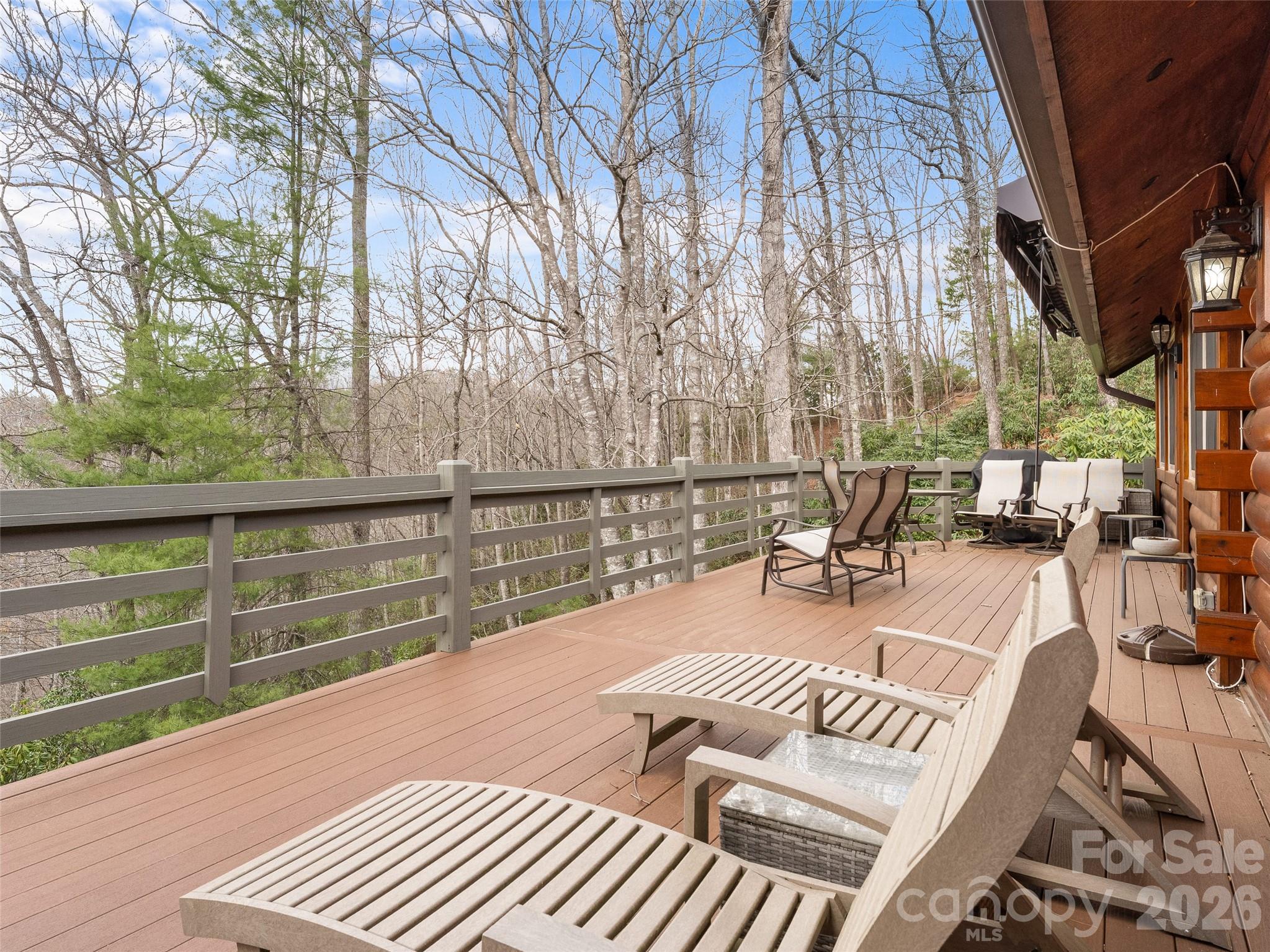 153 Brandy Ridge Brevard NC 28712