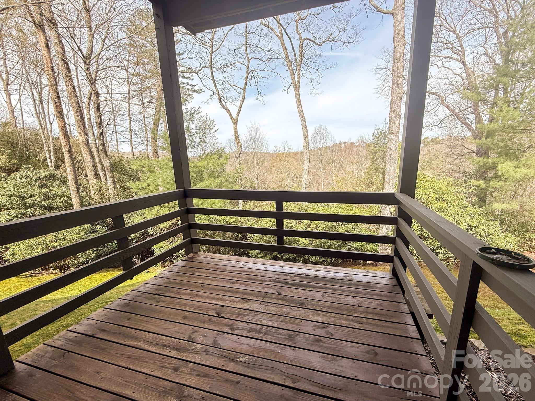 153 Brandy Ridge Brevard NC 28712