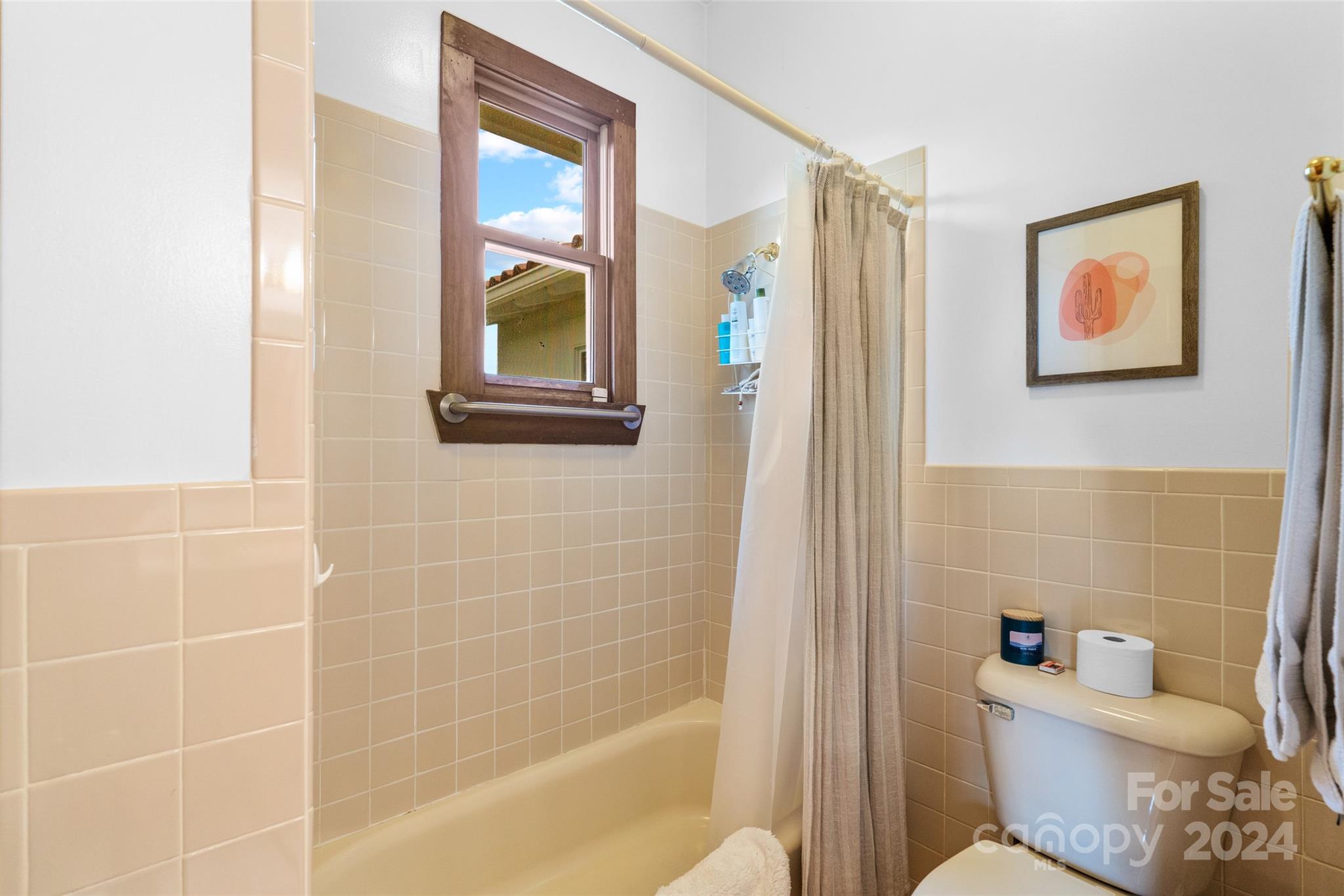 50 Alpine Way Weaverville NC 28787