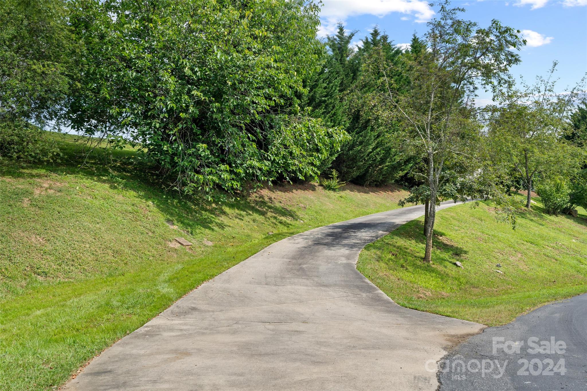 50 Alpine Way Weaverville NC 28787