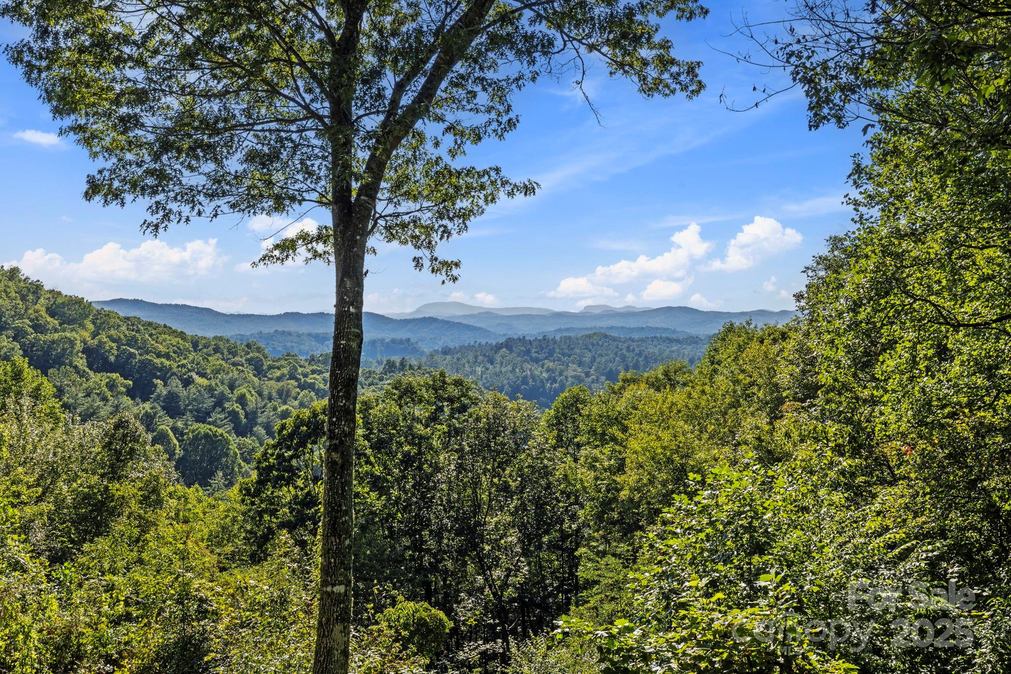 658 Johnson Road Brevard NC 28712