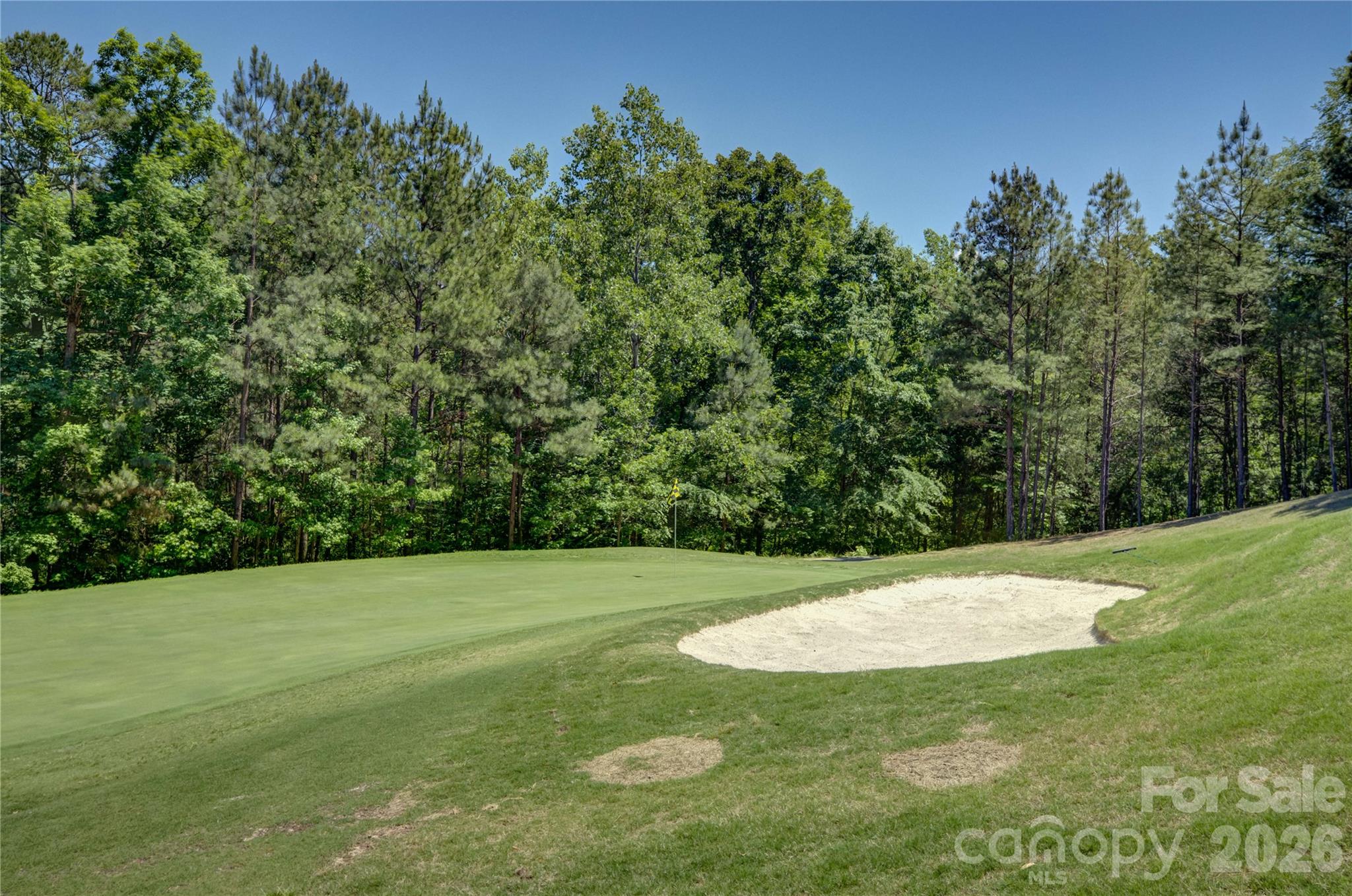 15420 Cimarron Hills Lane Charlotte NC 28278