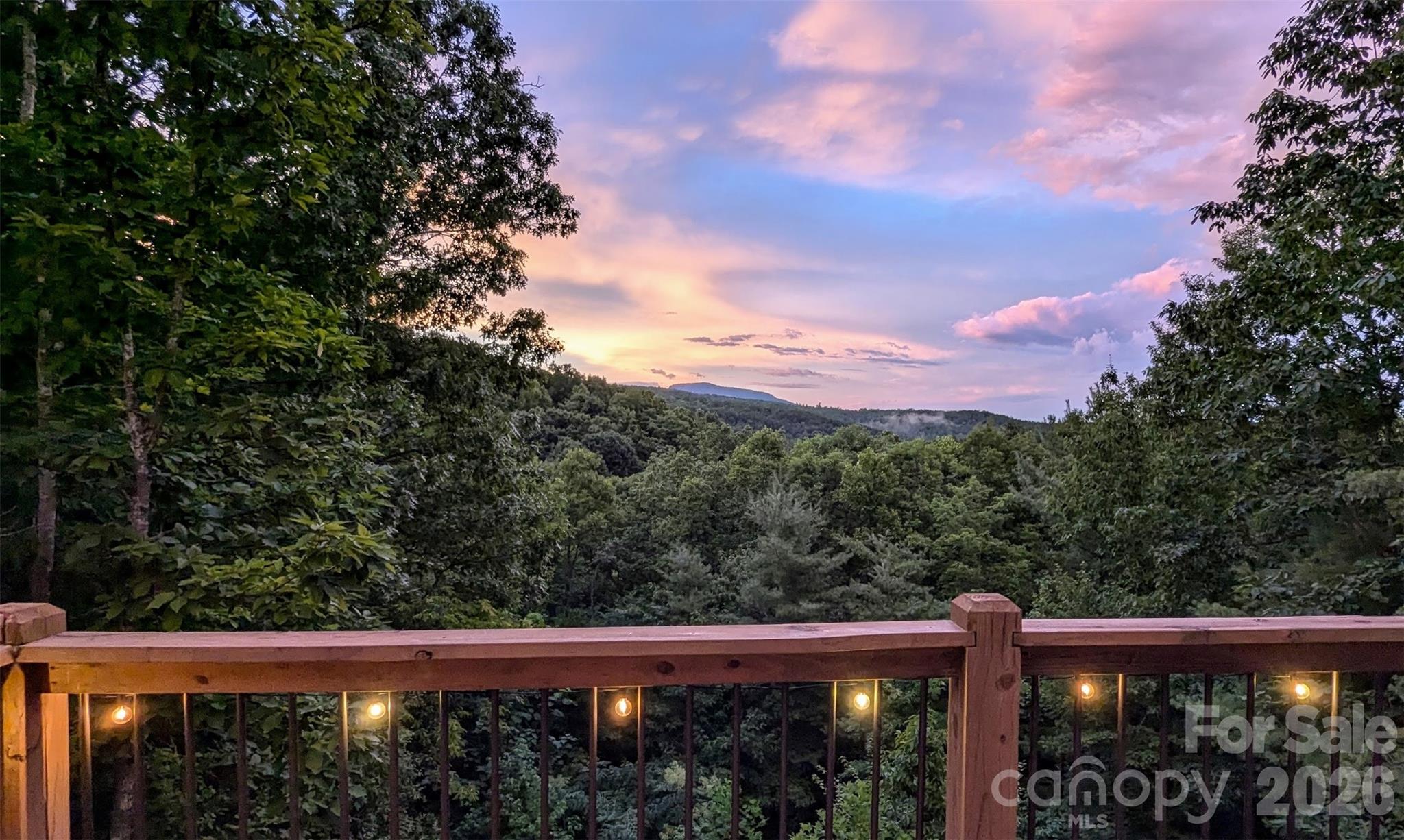 9147 Shortoff View Terrace Nebo NC 28761