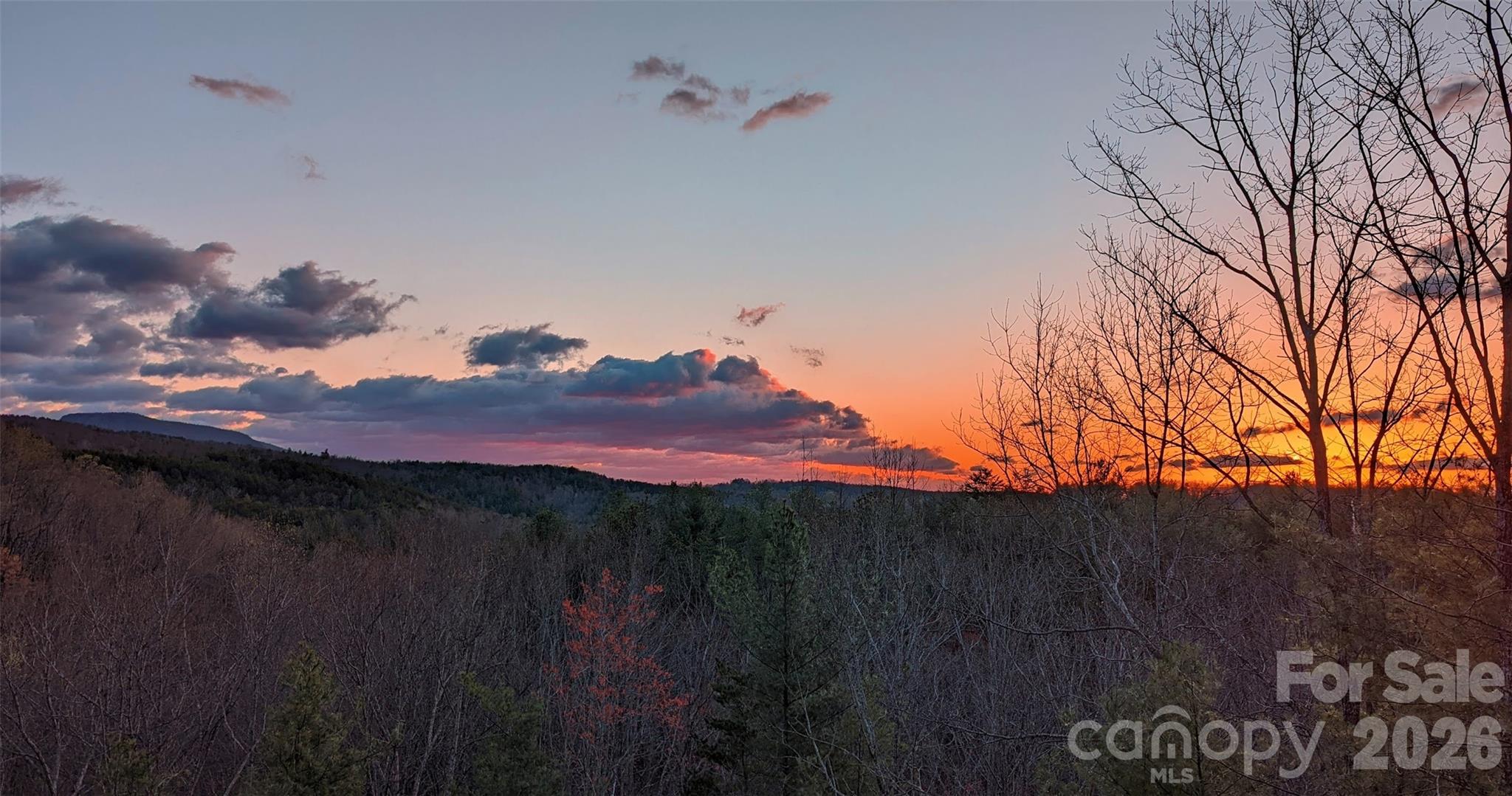 9147 Shortoff View Terrace Nebo NC 28761