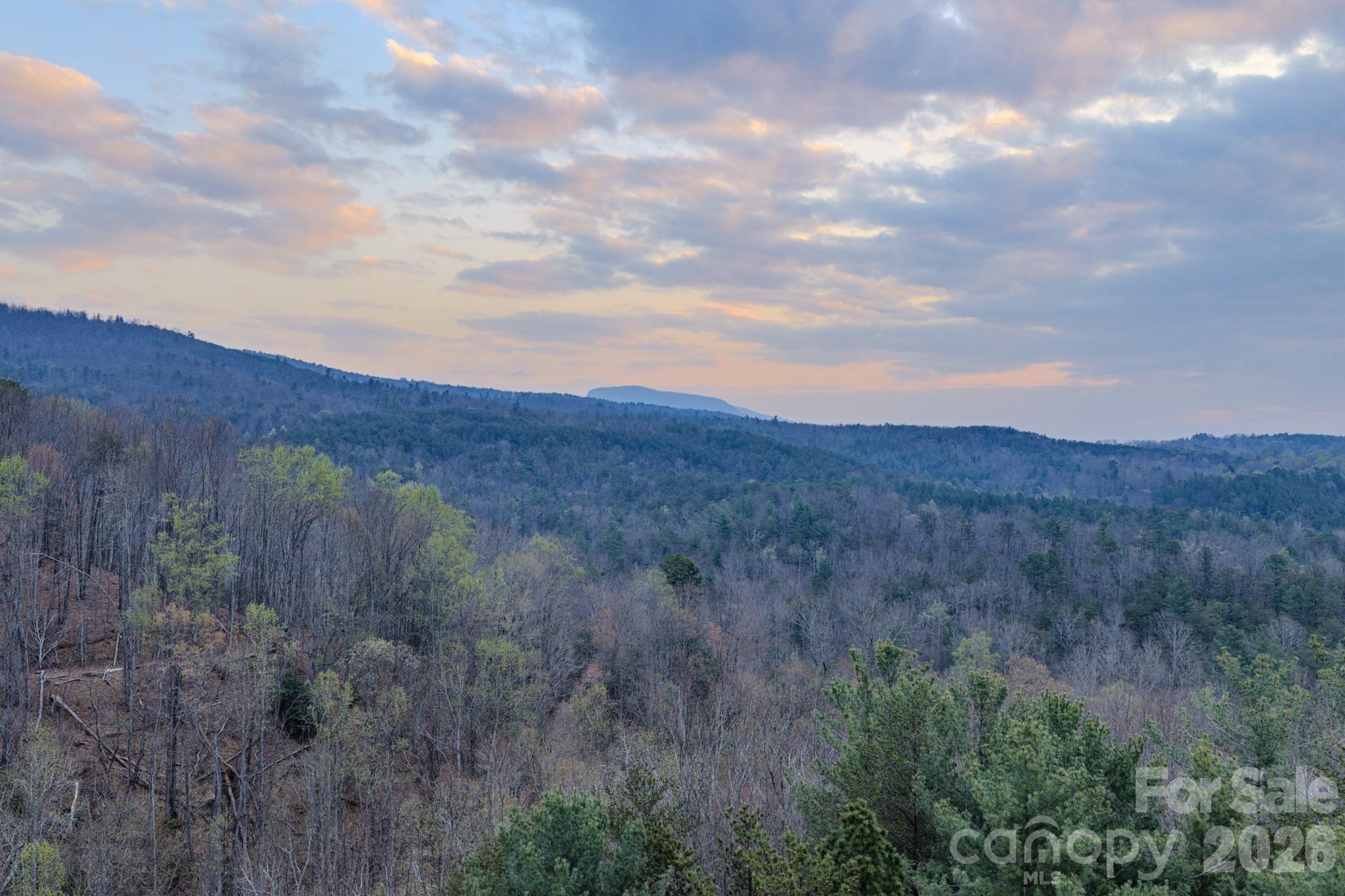 9147 Shortoff View Terrace Nebo NC 28761