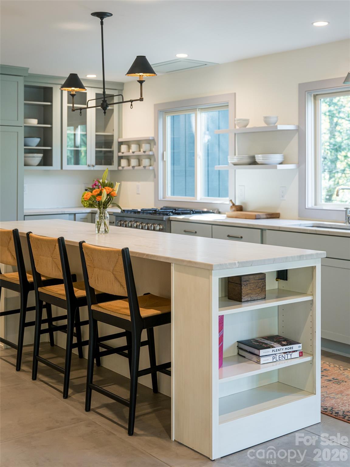 17 Beaverdam Court Asheville NC 28804