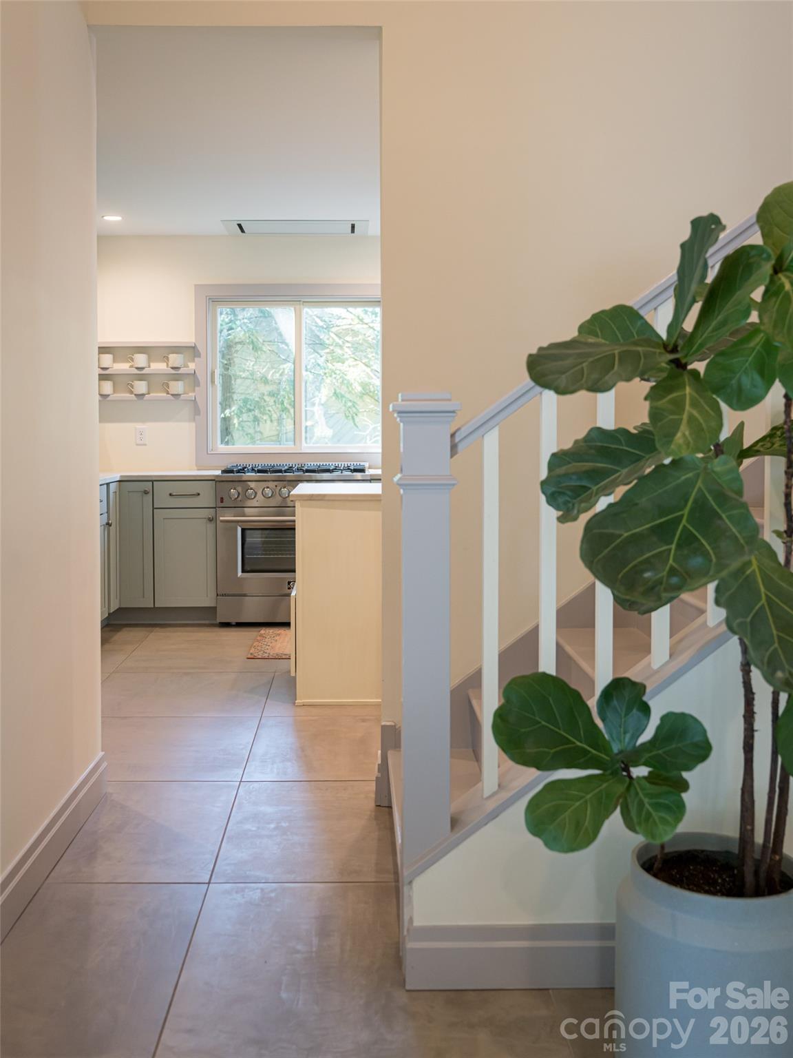 17 Beaverdam Court Asheville NC 28804