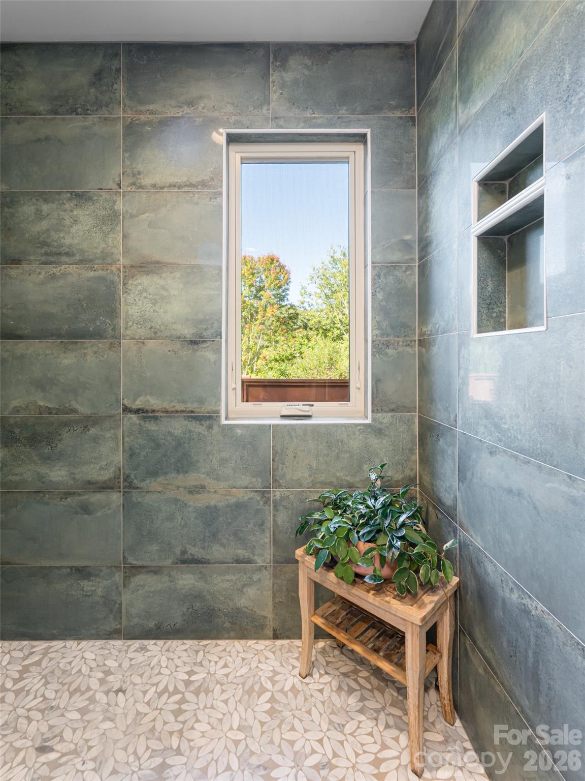 17 Beaverdam Court Asheville NC 28804