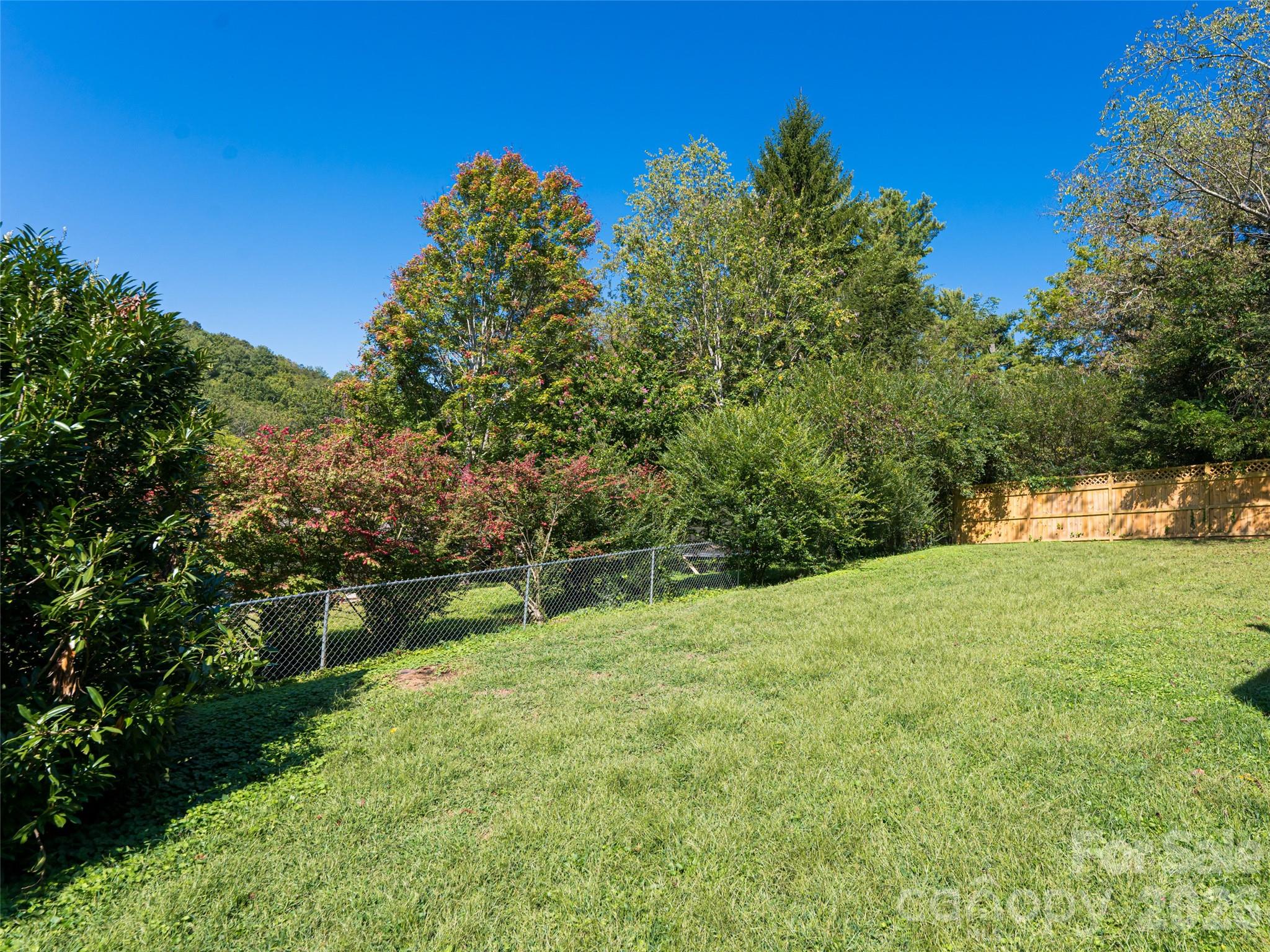 17 Beaverdam Court Asheville NC 28804
