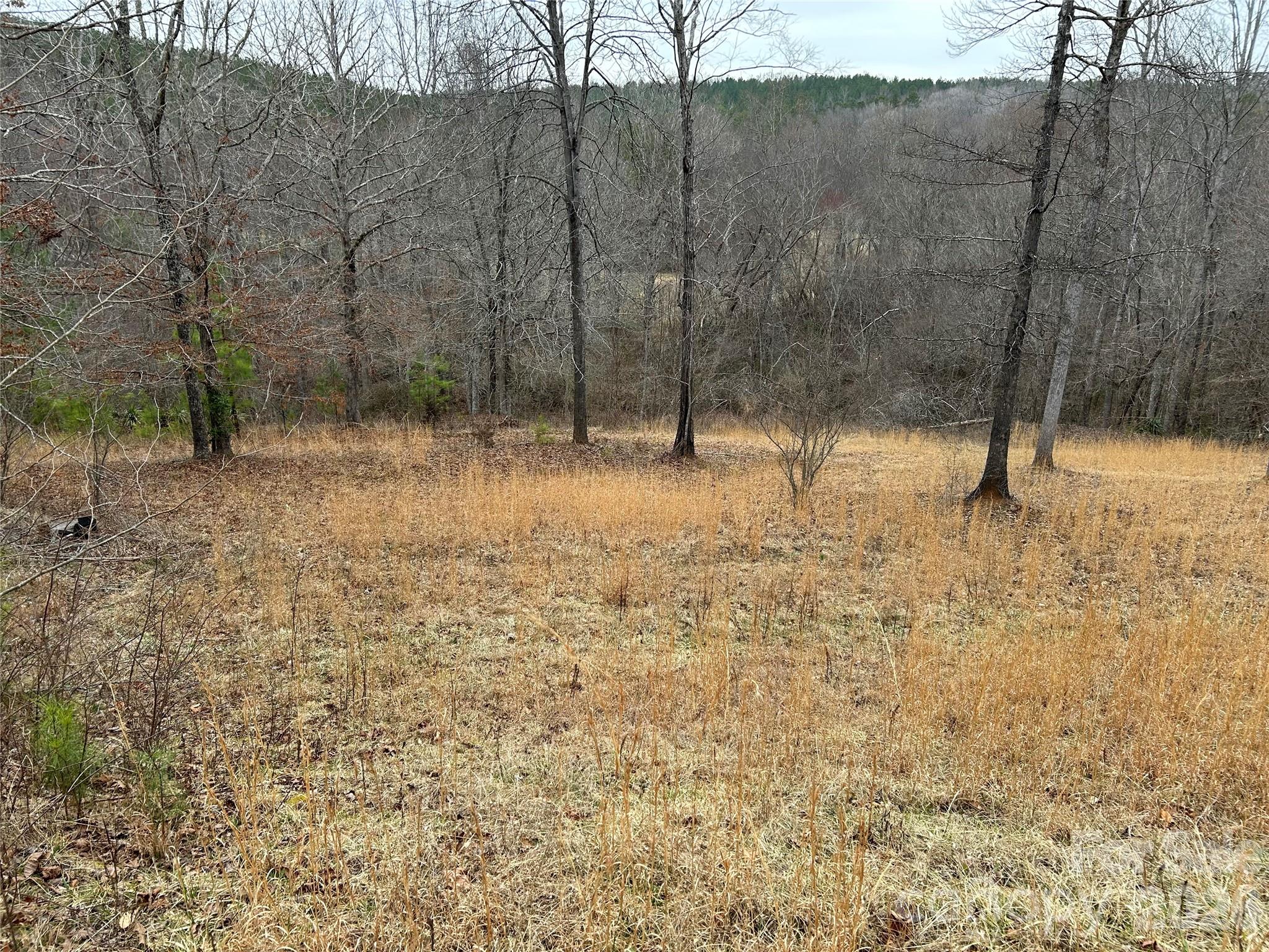 322 Balmy Lane Rutherfordton NC 28139