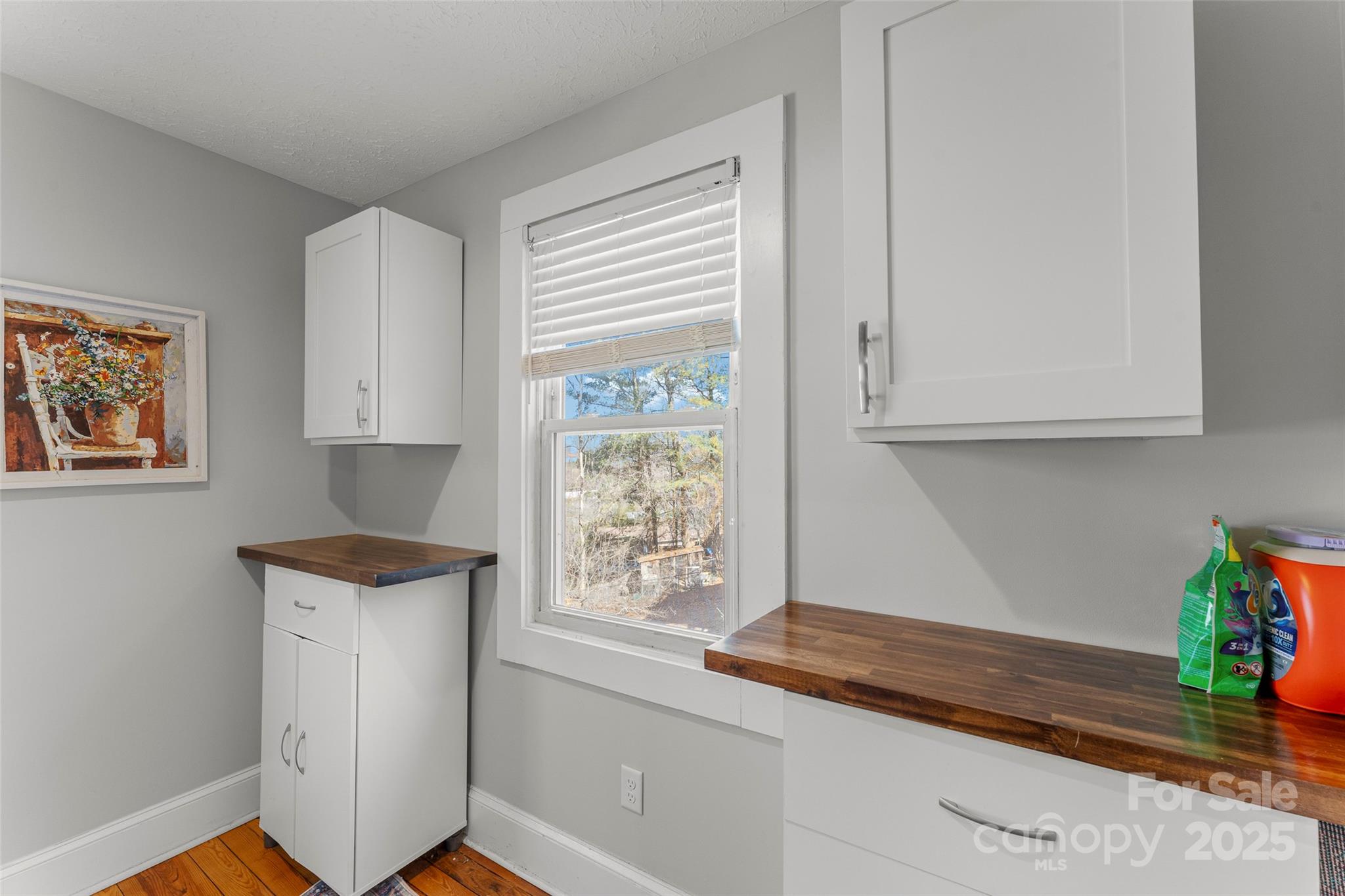 53 Euclid Boulevard Asheville NC 28806