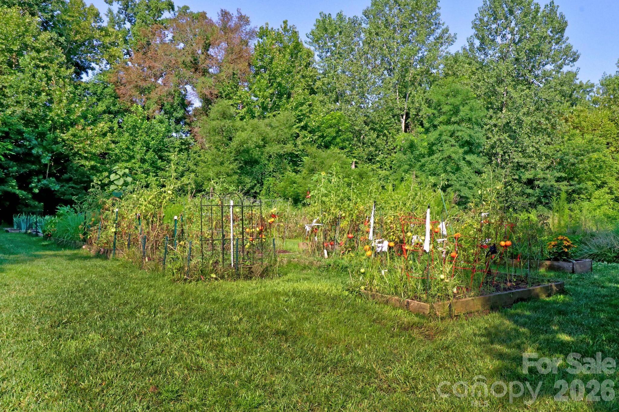 10258 Vanguard Parkway Huntersville NC 28078