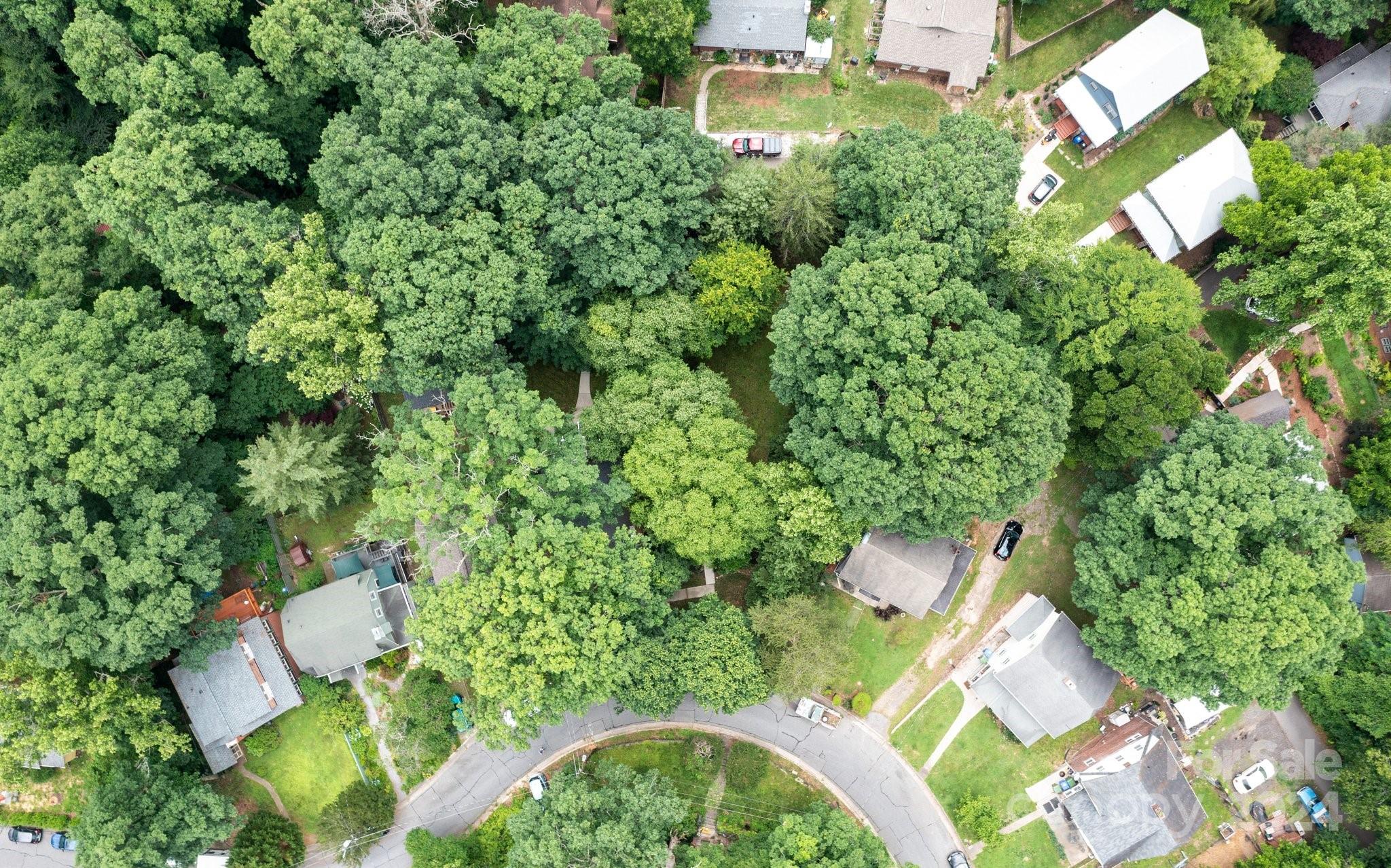 125 Tacoma Circle Asheville NC 28801