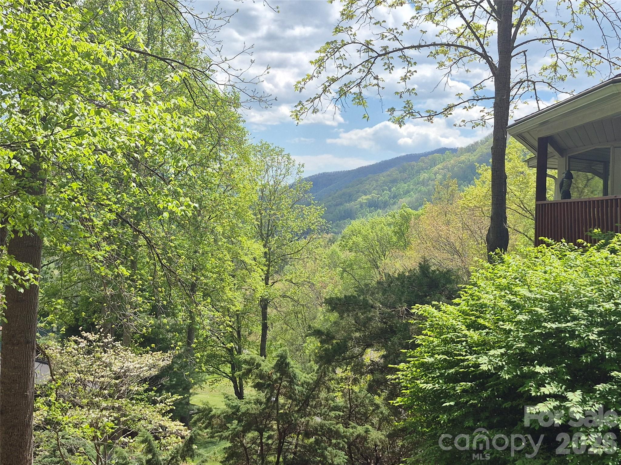 623 Country Club Drive Canton NC 28716