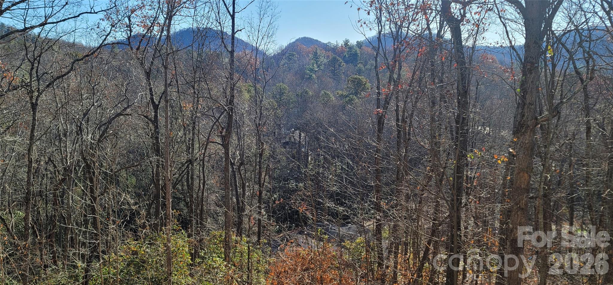 11 Starlight Drive Black Mountain NC 28711