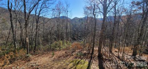 11 Starlight Drive Black Mountain NC 28711