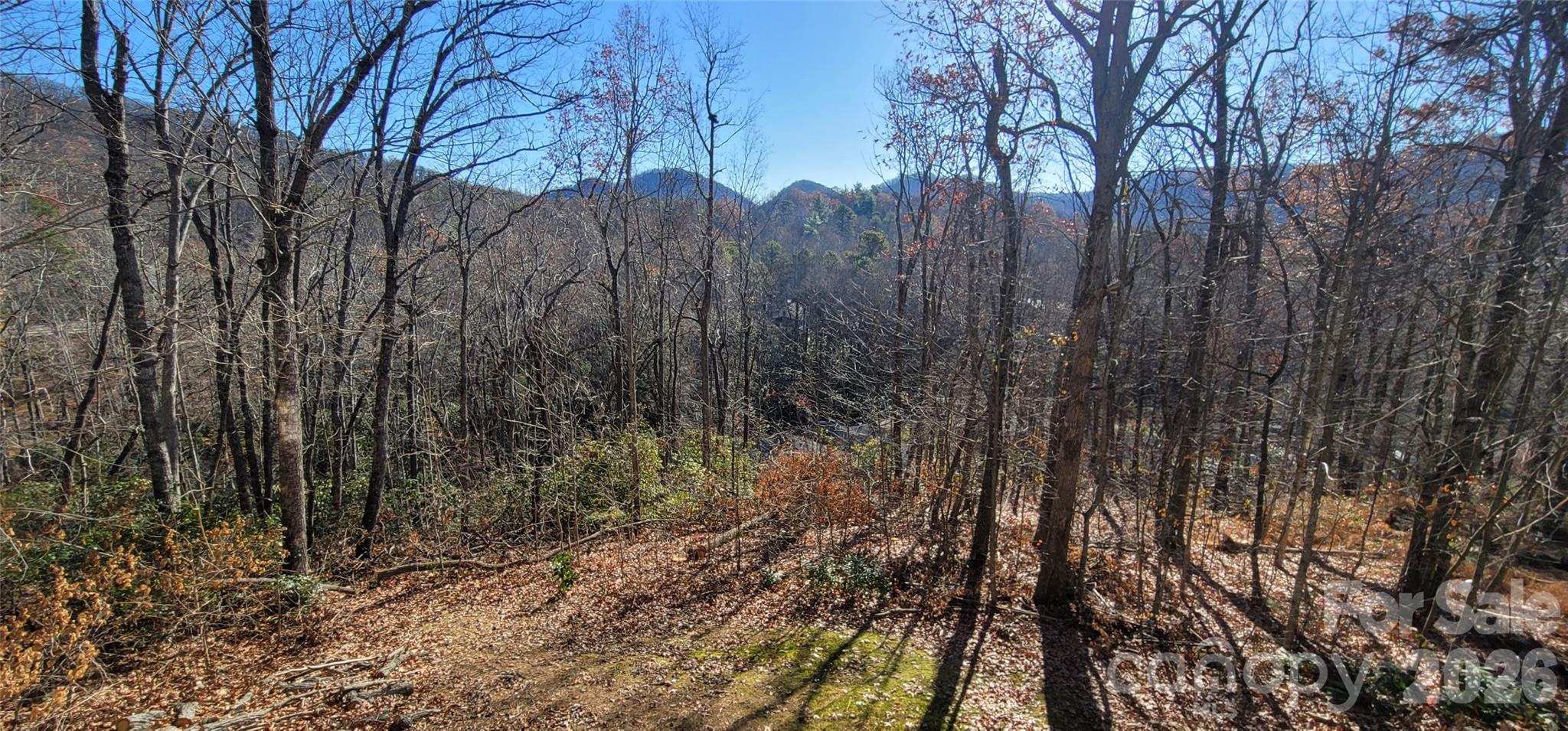 11 Starlight Drive Black Mountain NC 28711