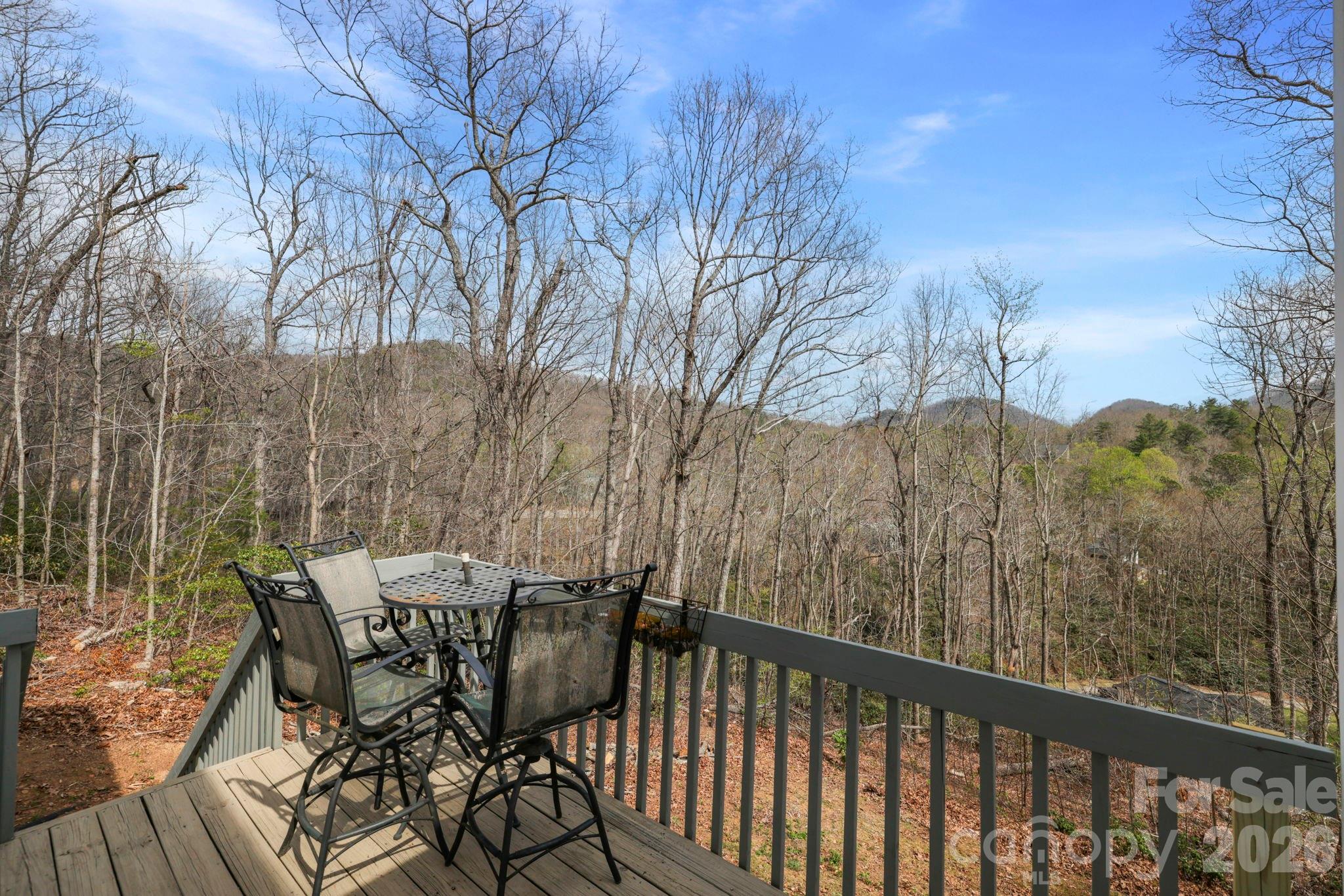 11 Starlight Drive Black Mountain NC 28711