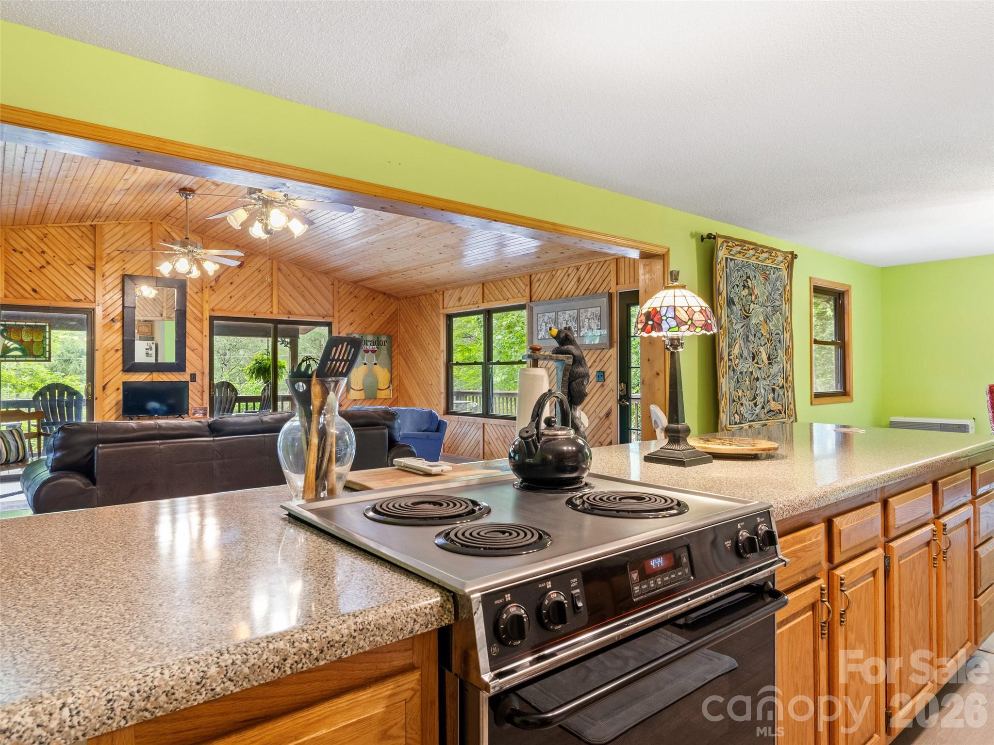 170 Mountain Farm Road Burnsville NC 28714