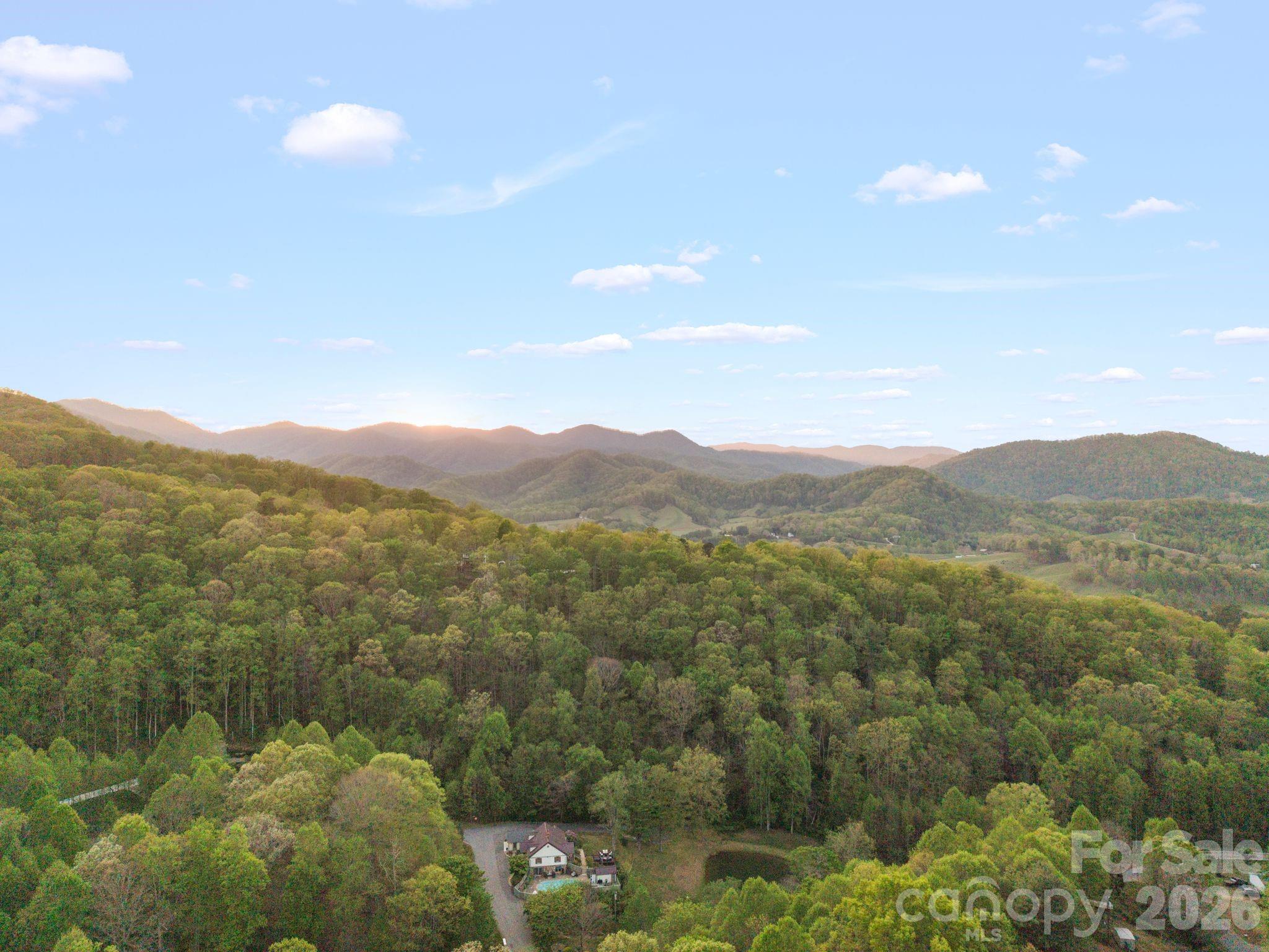 25 View Ridge Parkway Leicester NC 28748