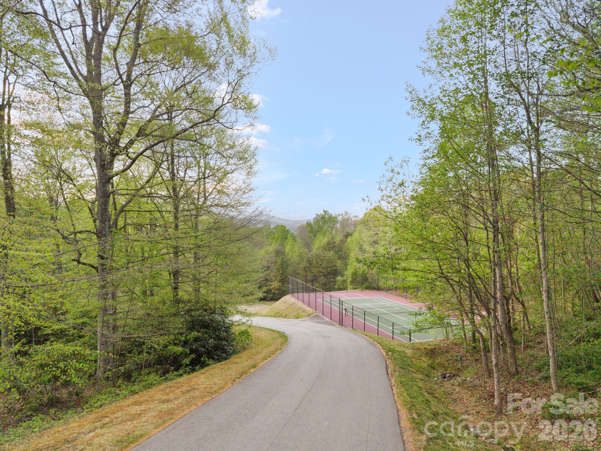 25 View Ridge Parkway Leicester NC 28748