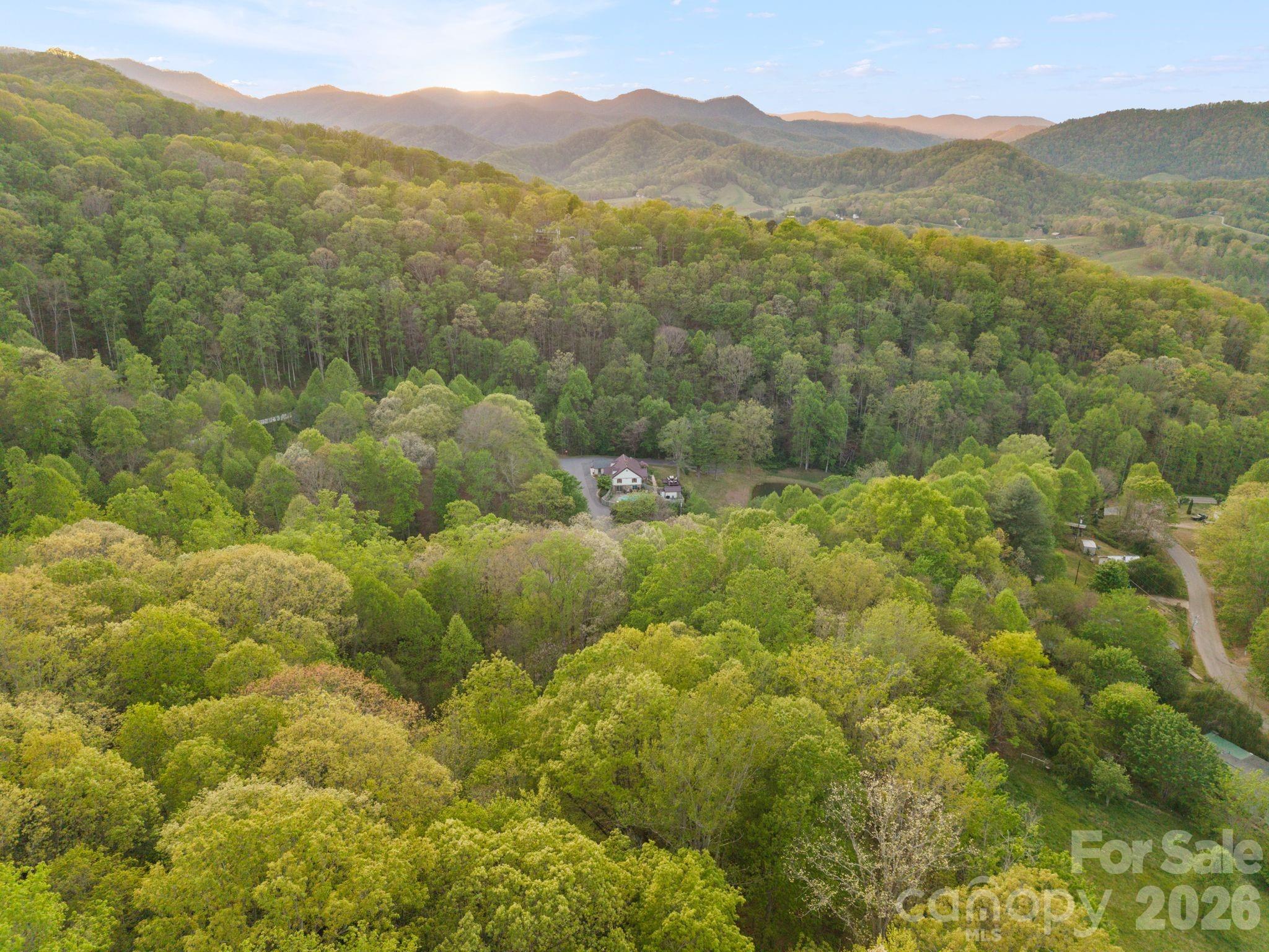 25 View Ridge Parkway Leicester NC 28748