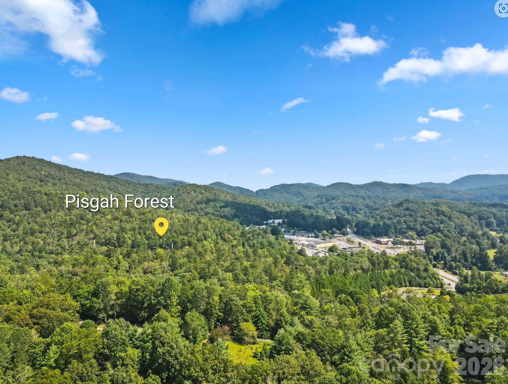 71 Laurel Mountain Road Brevard NC 28712