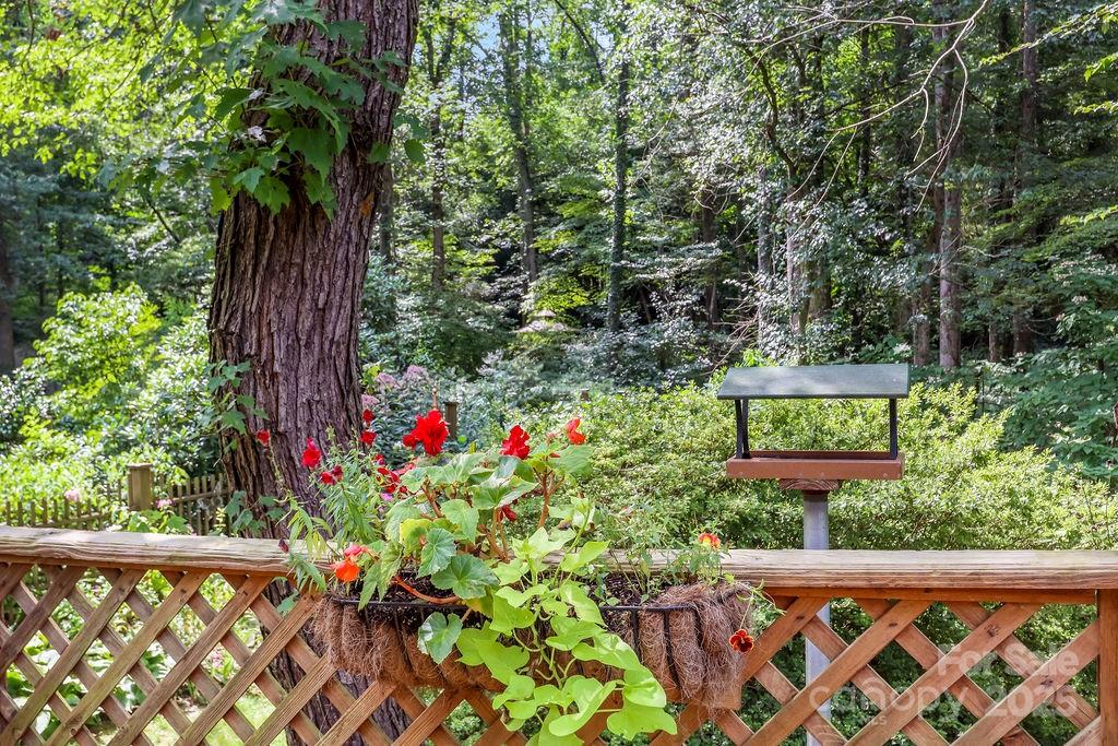 3 Stockwood Road Asheville NC 28803